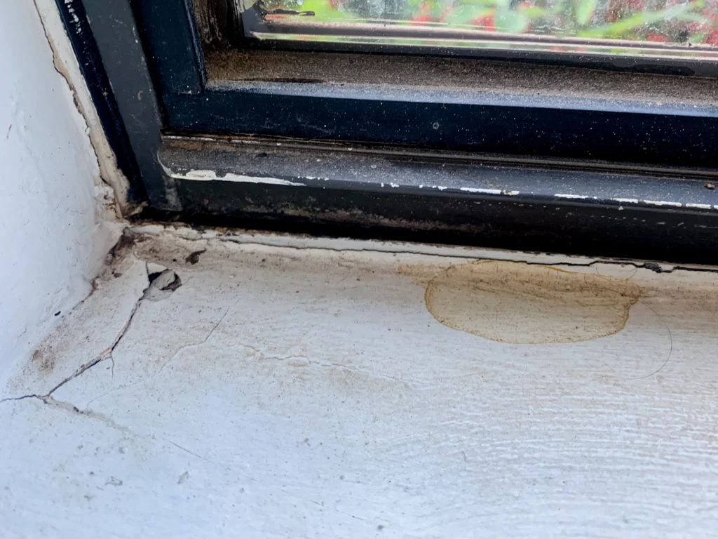 Replacing windows, window seals and caulk will help prevent water damage. But if you experience issues call First In Restoration.