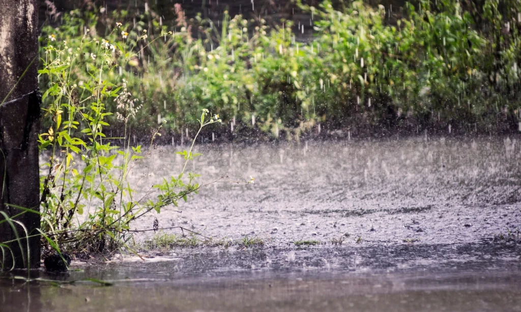 Georgia has experienced heavy rains the last two days. How has this affected your home?