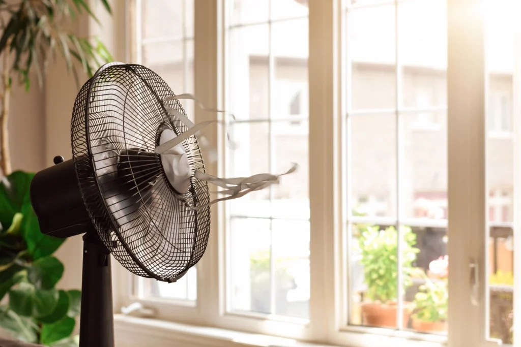 Don't use box fans to try to dry your space out. Call the number one water damage restoration professionals, First In Restoration