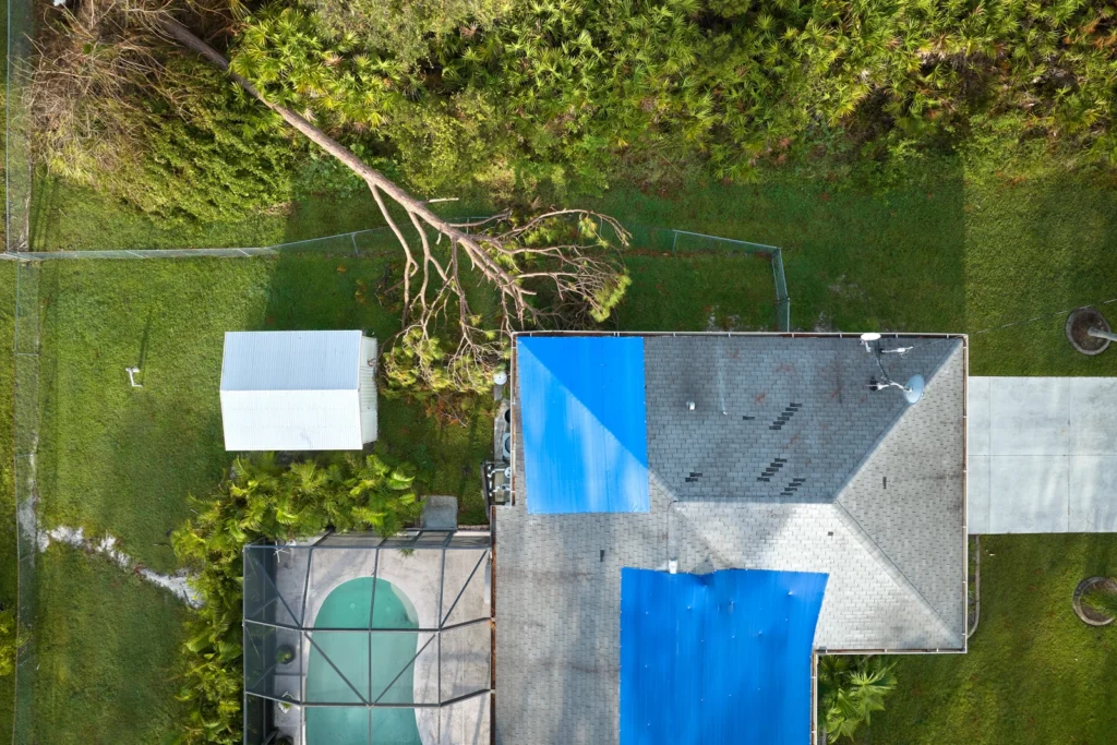 A house that has suffered from storm damage with a downed tree and tarps.