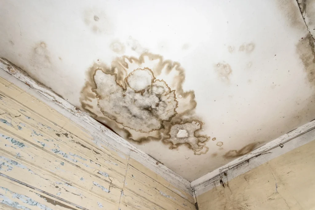 It's important to keep your home mold-free to avoid water damage on your ceiling like this.