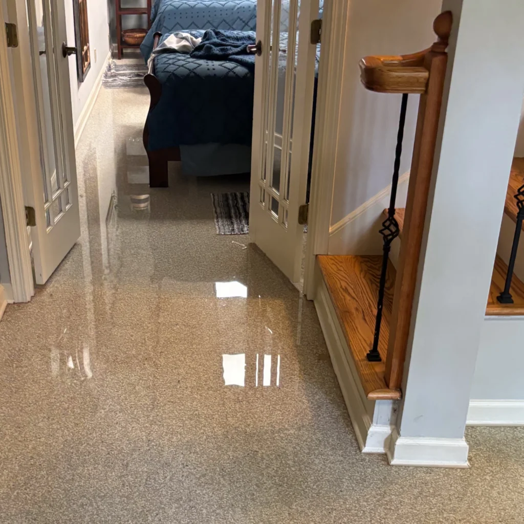 Flooded basement being mitigated by First In Restoration