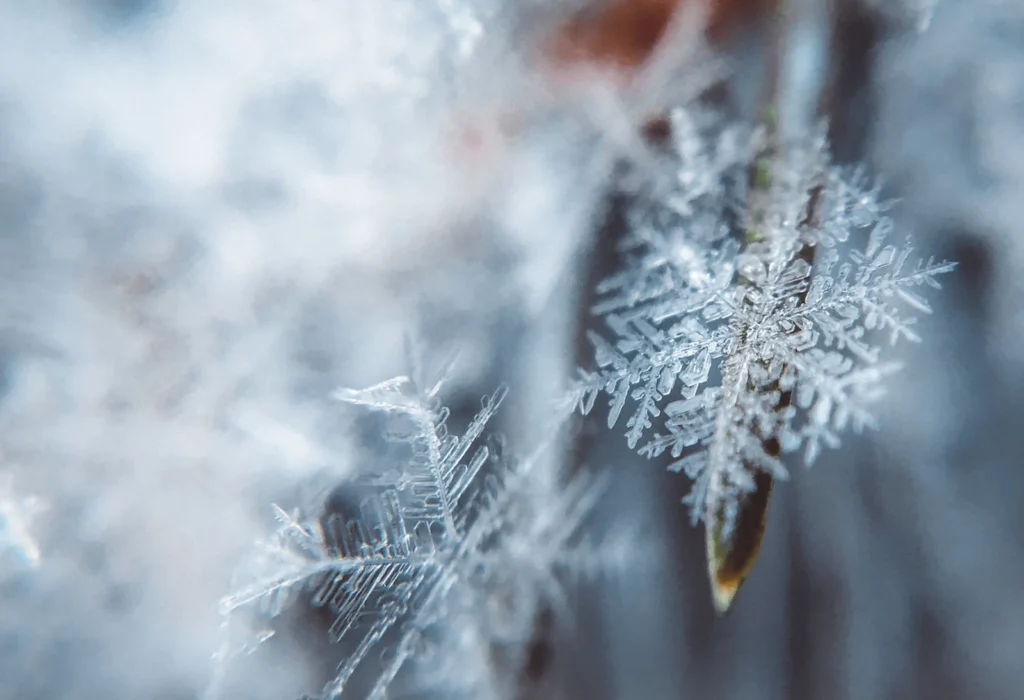 frozen rain causes broken pipes