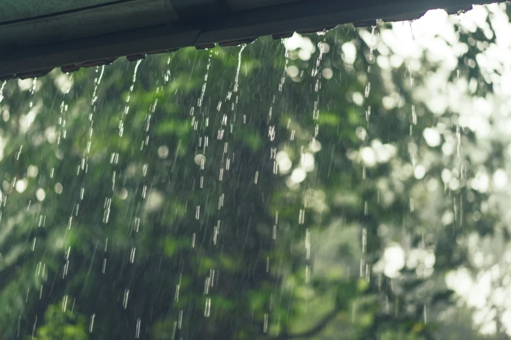 Make sure your gutters are clear of debris before the next rain storm. If. you experience water damage First In Restoration can help.