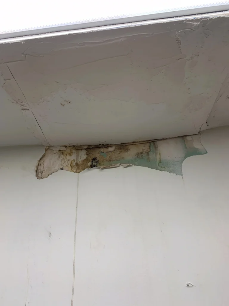 Mold Damage that needs cleanup