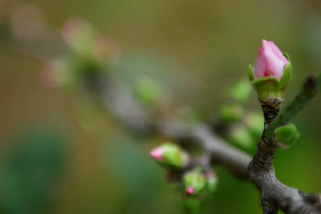 Spring is here-- Avoid Water Damage