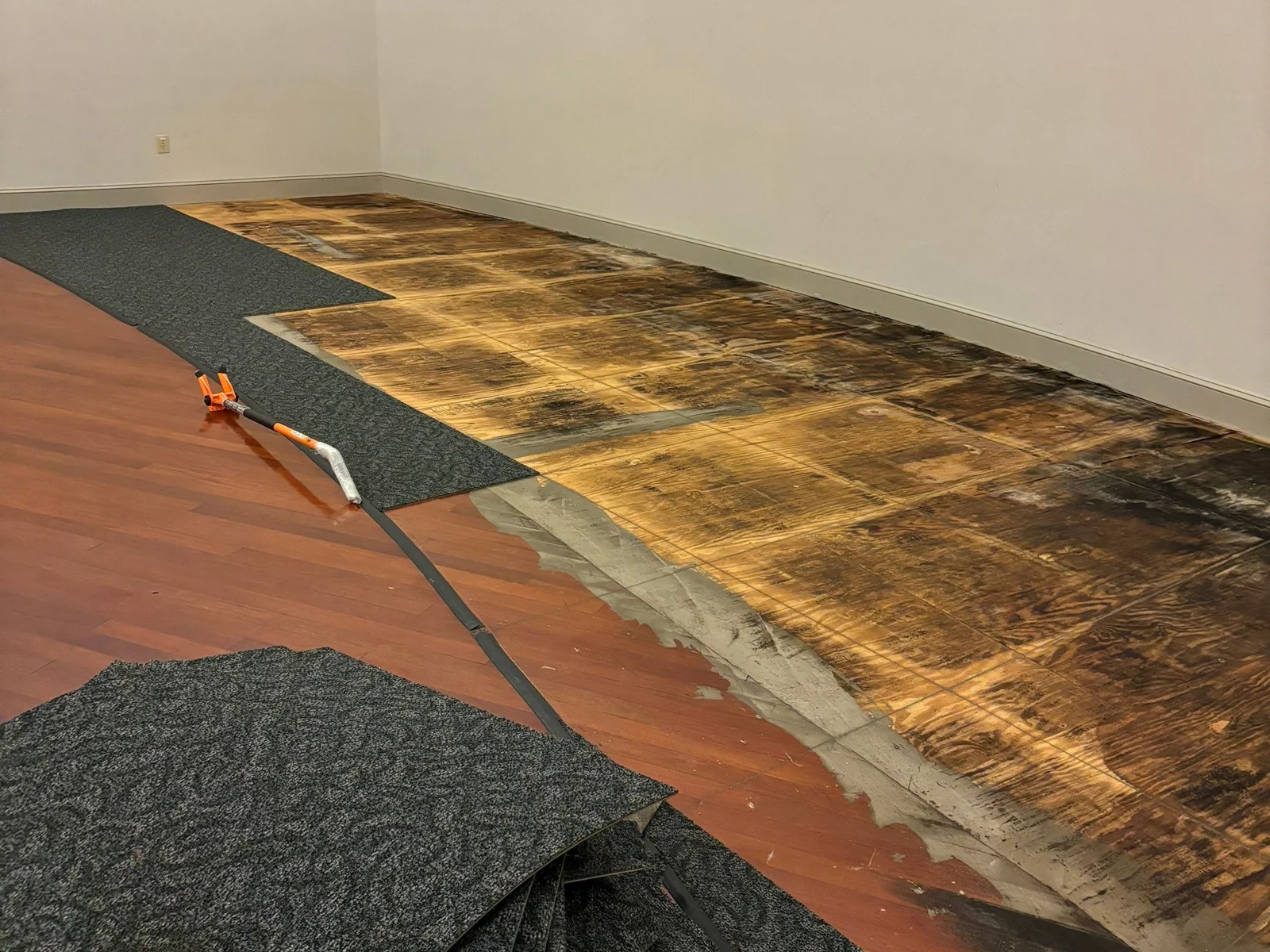 Commercial mold remediation after flooring and moisture damage