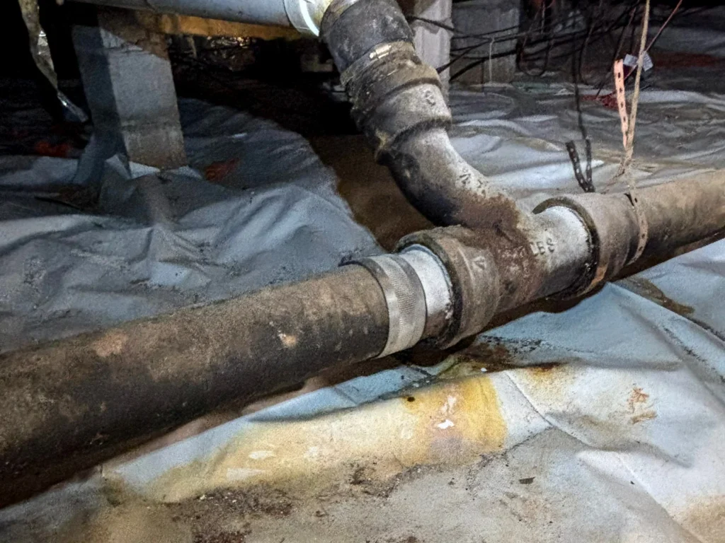 Sewage Cleanup