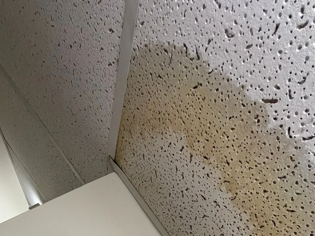 What Are the Three Categories of Water Damage?